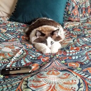 Meet your Posher, Lorena n miguel